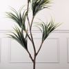 Supergreens Texnito Dentro Drakaina 160cm 1760-6