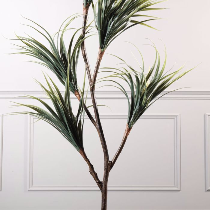 Supergreens Texnito Dentro Drakaina 160cm 1760-6