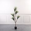 Supergreens Texnito Dentro Drakaina 160cm 1760-6