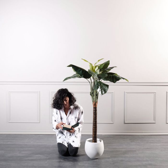 Supergreens Τεχνητό Δέντρο Αλοκάσια 150cm 4760-6 Supergreens Texnito Dentro Alokasia 150cm 4760-6