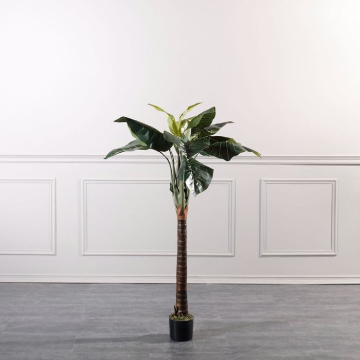 Supergreens Τεχνητό Δέντρο Αλοκάσια 150cm 4760-6 Supergreens Texnito Dentro Alokasia 150cm 4760-6