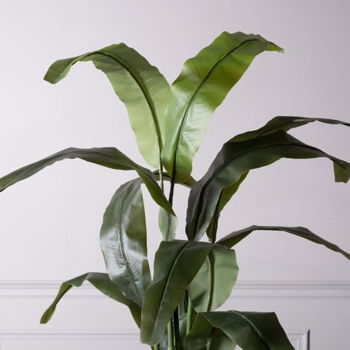 Supergreens Τεχνητό Δέντρο Πουλί του Παραδείσου Strelizia Nicolai 190cm 6760-6 Supergreens Texnito Dentro Pouli tou Paradeisou Strelizia Nicolai 190cm 6760-6