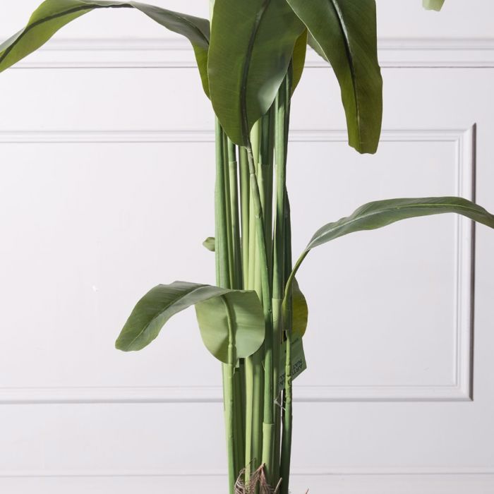 Supergreens Τεχνητό Δέντρο Πουλί του Παραδείσου Strelizia Nicolai 190cm 6760-6 Supergreens Texnito Dentro Pouli tou Paradeisou Strelizia Nicolai 190cm 6760-6