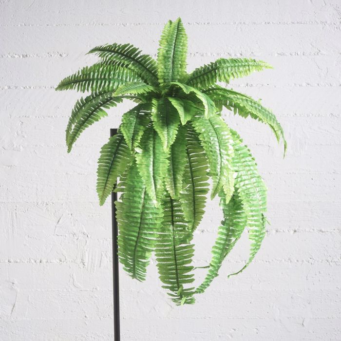 Supergreens Texniti Xonefti Fteri 80cm 6421-7