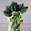 Supergreens Texnito Fullo Filodentro 81cm 5450-7