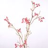 Supergreens Texnito Kladi Mouro Kokkino 66cm 2870-7