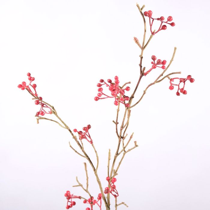Supergreens Texnito Kladi Mouro Kokkino 66cm 2870-7