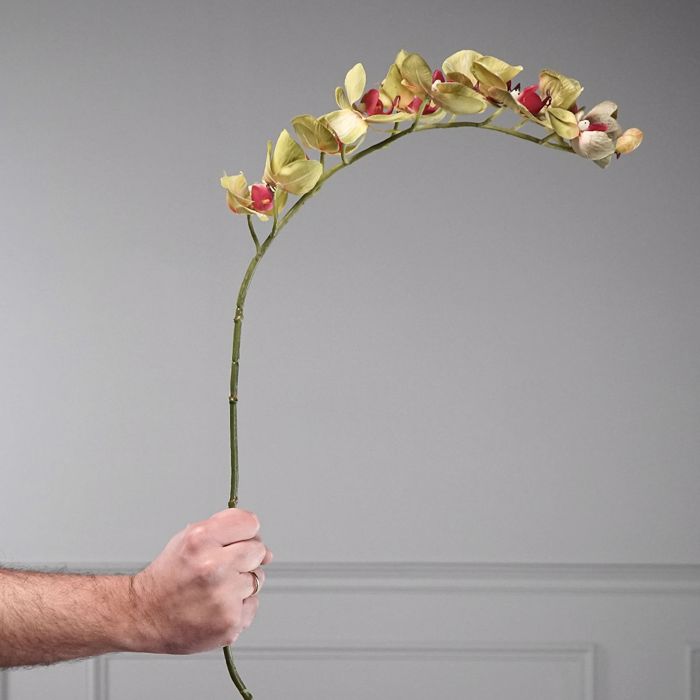 Supergreens Τεχνητό Κλωνάρι Ορχιδέα Πράσινο 75cm 7380-7 Supergreens Texnito Klonari Orxidea Prasino 75cm 7380-7