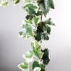 Supergreens Texniti Grlanta Kissos Panase 180cm 2401-7