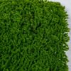 Supergreens Texniti Fullosia ''Mossy'' 50x50cm 3231-7