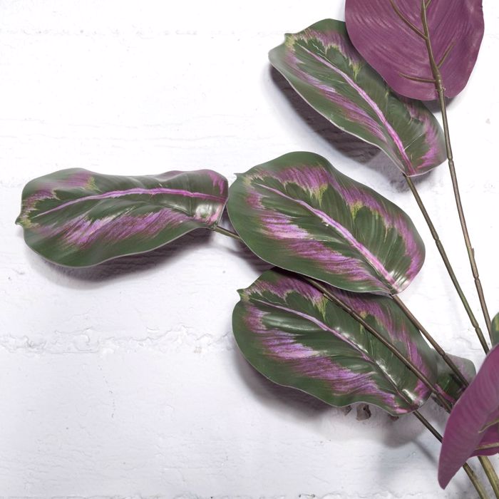 Supergreens Τεχνητή Χωνευτή Καλαθέα Roseopicta 61cm 4431-7 Supergreens Texniti Xonefti Kalathea Roseopicta 61cm 4431-7