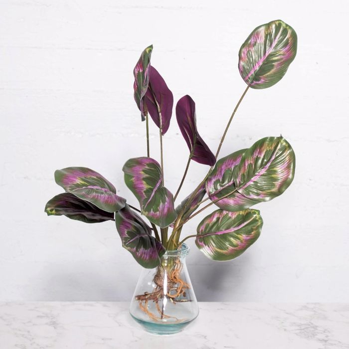 Supergreens Τεχνητή Χωνευτή Καλαθέα Roseopicta 61cm 4431-7 Supergreens Texniti Xonefti Kalathea Roseopicta 61cm 4431-7