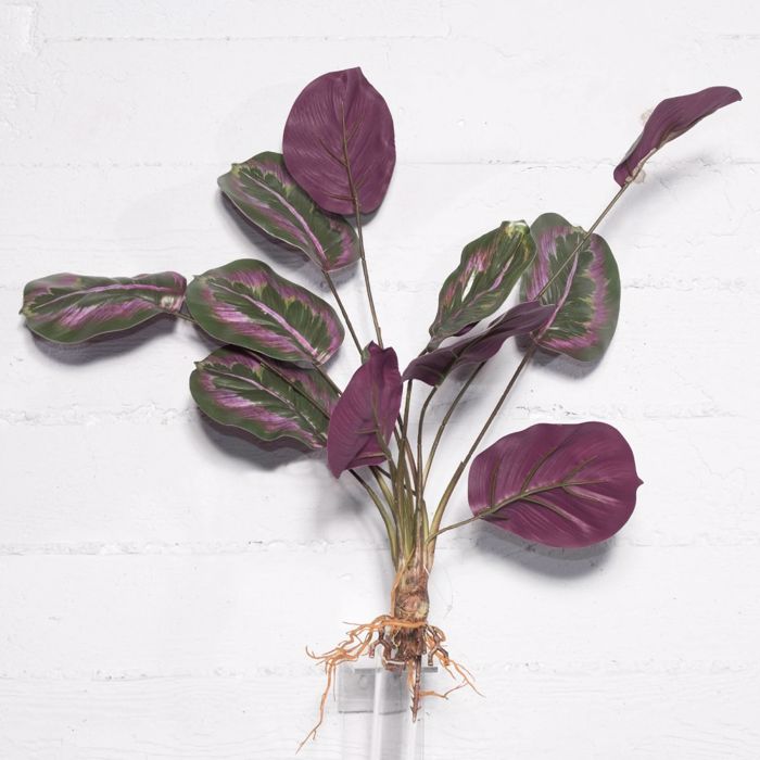 Supergreens Τεχνητή Χωνευτή Καλαθέα Roseopicta 61cm 4431-7 Supergreens Texniti Xonefti Kalathea Roseopicta 61cm 4431-7