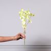 Supergreens Texnito Bouketo Mosxompizelo Prasino 50cm 1531-7