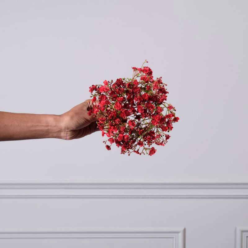 Supergreens Τεχνητό Στεφάνι Γυψοφύλλη Κόκκινο Φ20cm 0731-7