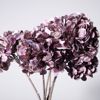 Supergreens Texnito Klonari Ortansia Mob 49cm 7041-7