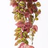 Supergreens Texniti Kremasti Tranteskantia 90cm 5751-7