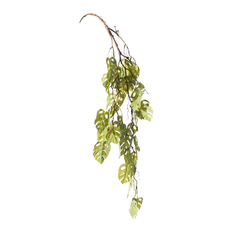 Supergreens Τεχνητή Κρεμαστή Μονστέρα Πράσινη Ανοιχτή 1