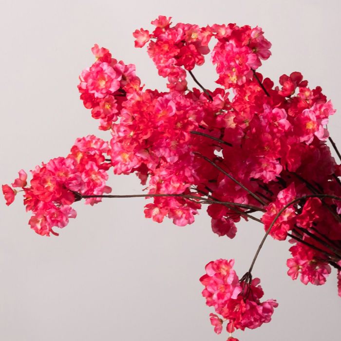 Supergreens Texnito Klonari Prounos Kokkino 84cm 2761-7