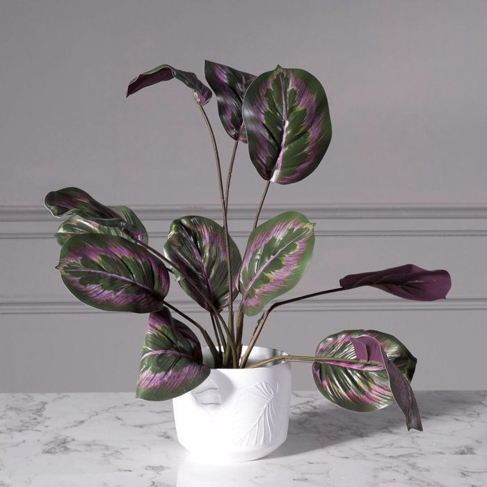 Supergreens Kaspo Keramiko Lefko F14x12cm 3560-8