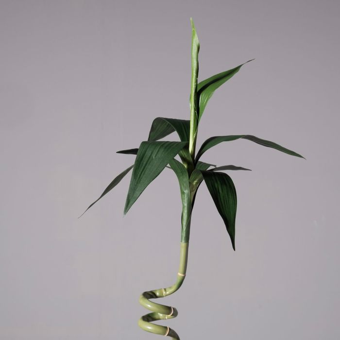 Supergreens Texnito Kladi Bampou Lucky 132cm 9131-7