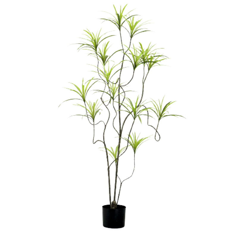 Γλάστρες - Ζαρντινιέρες agiovlasitishome - ΣΗΜΑΝΤΙΚΟ: Σε περίπτωση διαφοράς τιμής από το κατάστημα ισχύει παντα και μόνο η τιμή του καταστήματος Supergreens Τεχνητό Δέντρο Δράκαινα Sanderiana Πράσινο