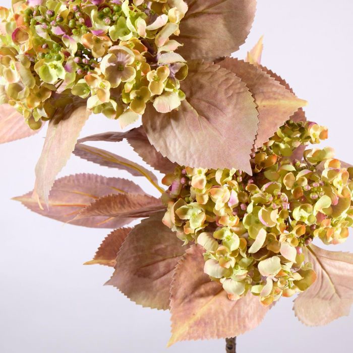 Supergreens Texnito Klonari Ortansia Poluxromo 85cm 9801-7