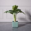 Supergreens Gastra Pilini Tetragni ''Stripe'' Menta Small 24x24x23cm A-2050-8