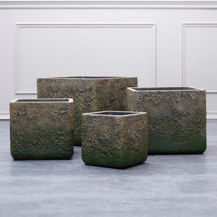 Supergreens Gastra Pilini Tetragni Brua 23x23x22 ek. A-2840-8