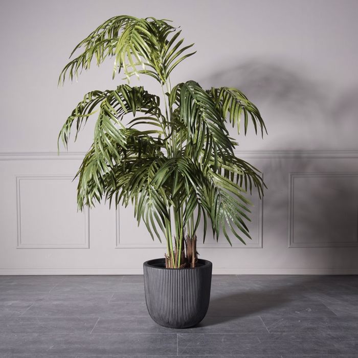 Supergreens Gastra Pilini Stronguli ''Stripe'' Ggri S F24x23cm A-4940-8