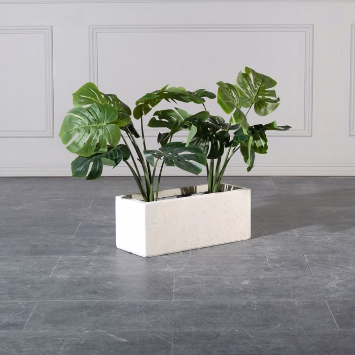 Supergreens Gastra Pilini Orthognia Dusty Bez Small 50x20x20cm A-7070-8