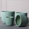 Supergreens Gastra Pilini Stronguli ''Stripe'' Beraman XLarge F44x36.5cm D-7940-8