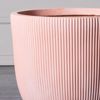 Supergreens Gastra Pilini Stronguli ''Stripe'' Somon Small F24x23cm A-8940-8