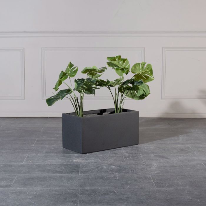 Supergreens Gastra Pilini Orthognia Solid Mavri Medium 60x30x30cm B-2170-8