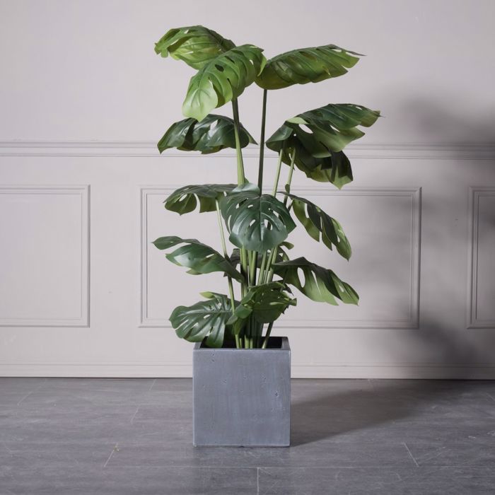 Supergreens Gastra Pilini Tetragni ''Rocky'' Ggri Medium 30x30x30cm B-6050-8