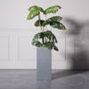 Supergreens Gastra Pilini Katheti ''Rocky'' Ggri Medium 27x27x60cm B-7050-8