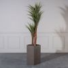 Supergreens Gastra Pilini Golden Kafe Large 35x35x65cm C-0070-8