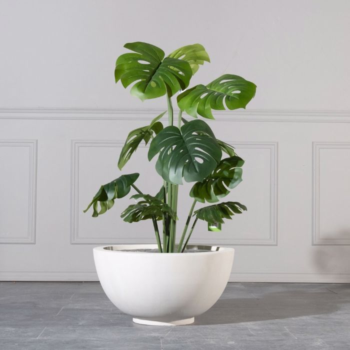 Supergreens Gastra Pilini Solid Bez Large F56x29cm C-9070-8