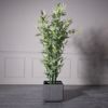 Supergreens Gastra Pilini Tetragni ''Stripe'' Ggri Large 37x37x33cm C-9940-8