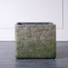 Supergreens Gastra Pilini Tetragni Brua 44x44x38cm D-2840-8