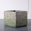Supergreens Gastra Pilini Tetragni Brua 44x44x38cm D-2840-8