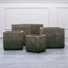Supergreens Gastra Pilini Tetragni Brua 44x44x38cm D-2840-8