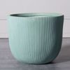 Supergreens Gastra Pilini Stronguli ''Stripe'' Beraman XLarge F44x36.5cm D-7940-8