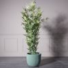 Supergreens Gastra Pilini Stronguli ''Stripe'' Beraman XLarge F44x36.5cm D-7940-8