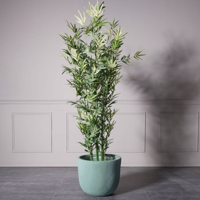 Supergreens Gastra Pilini Stronguli ''Stripe'' Beraman XLarge F44x36.5cm D-7940-8