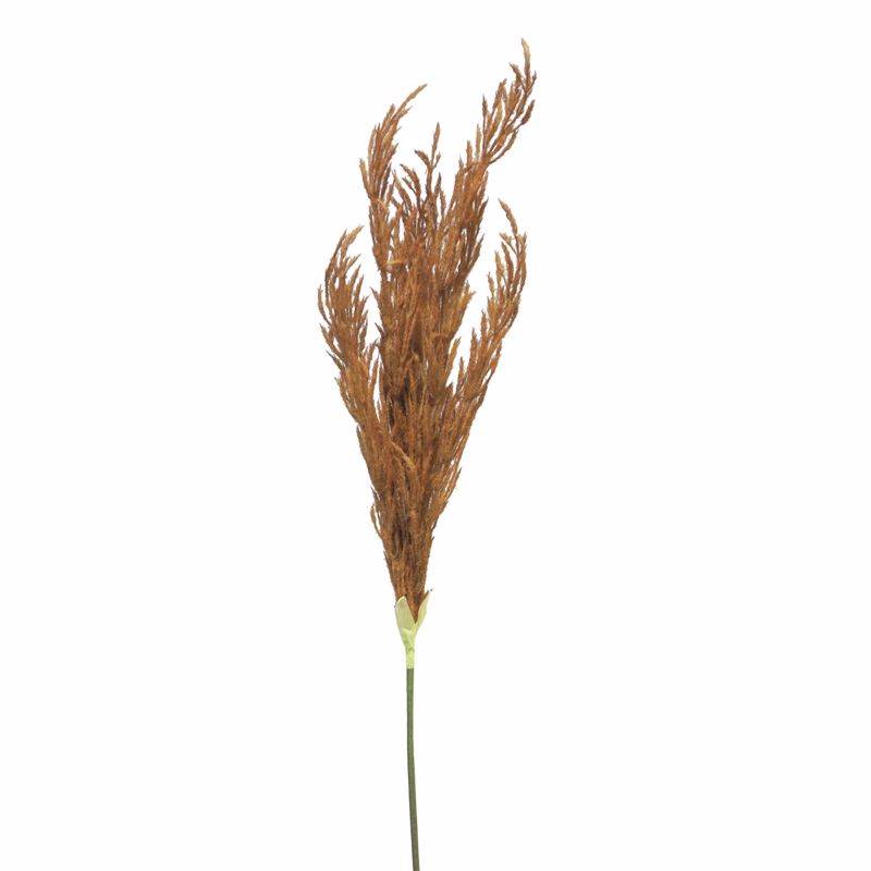 Supergreens Τεχνητό Κλαδί Pampas Καφέ 124cm 0041-7