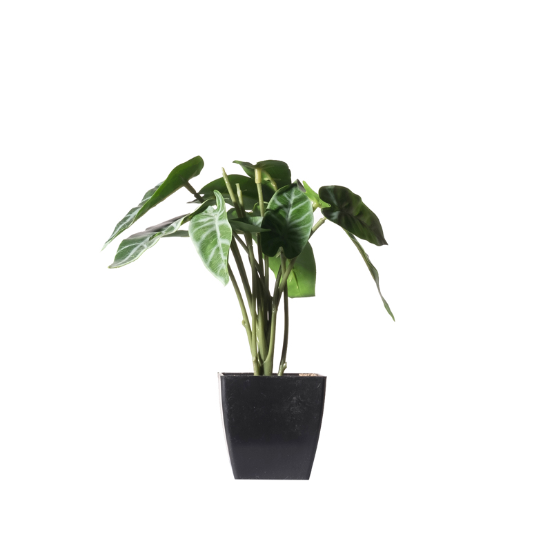 Supergreens Τεχνητό Φυτό Αλοκάσια Amazonica ''Polly'' σε Γλάστρα 21cm 0160-6