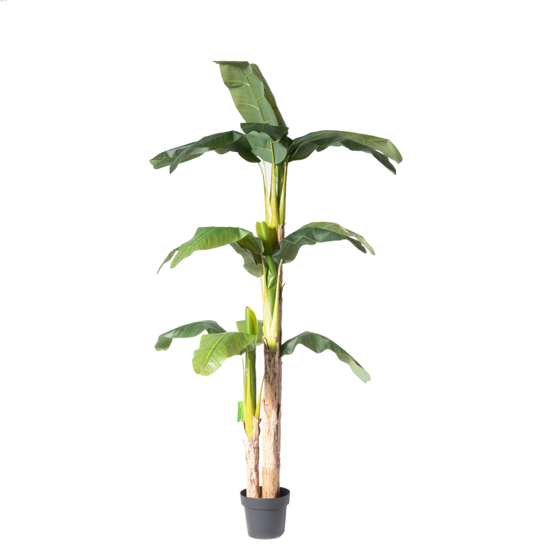 Supergreens Τεχνητό Δέντρο Μπανανιά 200cm 0190-6