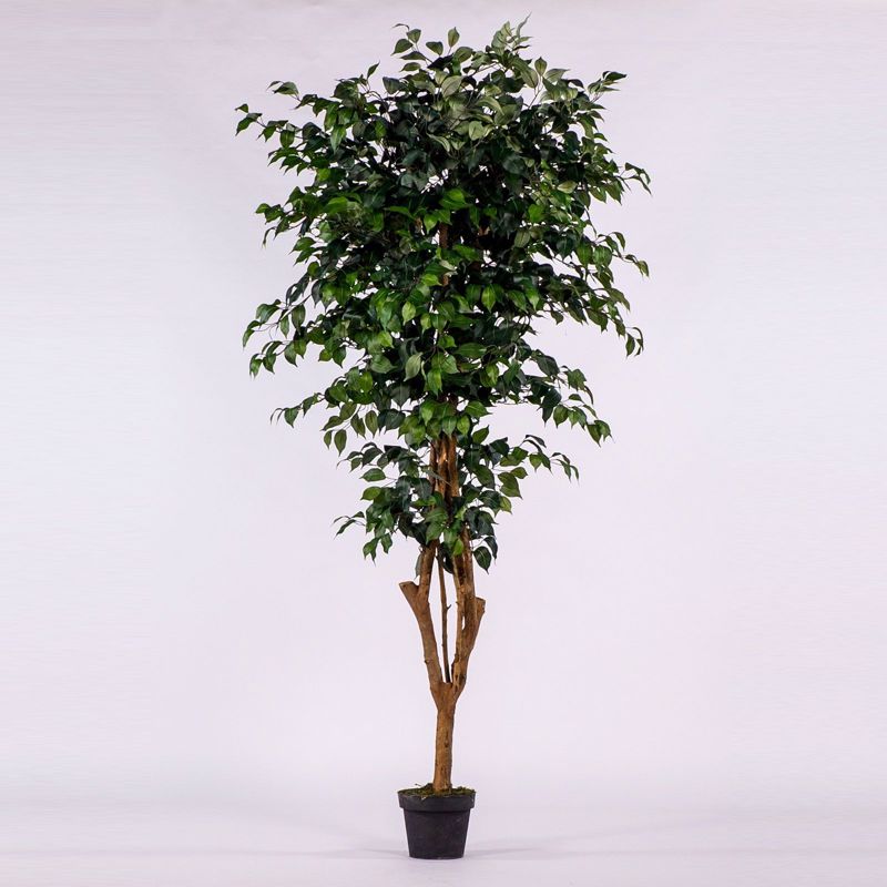 Supergreens Τεχνητό Δέντρο Φίκος 195cm 0240-6