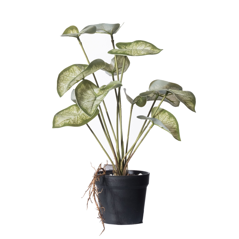 Γλάστρες - Ζαρντινιέρες agiovlasitishome - ΣΗΜΑΝΤΙΚΟ: Σε περίπτωση διαφοράς τιμής από το κατάστημα ισχύει παντα και μόνο η τιμή του καταστήματος Supergreens Τεχνητό Φυτό Καλάδιο Candidum ''Junior'' 37